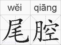 尾腔的拼音
