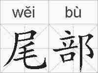 尾部的拼音