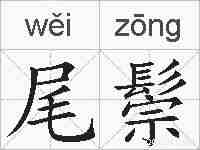 尾鬃的拼音