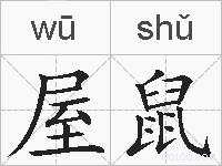 屋鼠的拼音