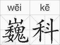 巍科的拼音