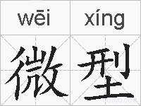 微型的拼音