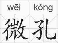 微孔的拼音