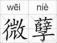 微孽的拼音