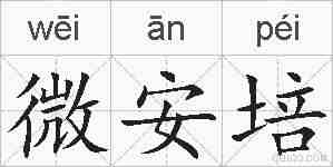 微安培的拼音
