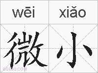 微小的拼音