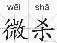 微杀的拼音