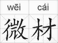 微材的拼音