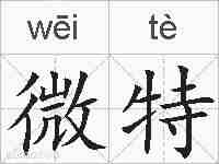 微特的拼音