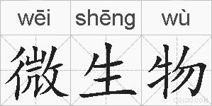 微生物的拼音