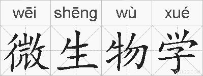 微生物学的拼音