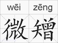 微矰的拼音