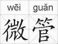 微管的拼音