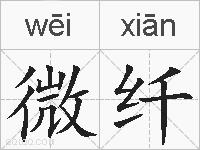 微纤的拼音