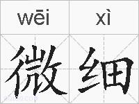 微细的拼音
