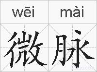 微脉的拼音
