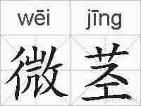 微茎的拼音