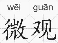 微观的拼音