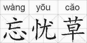 忘忧草的拼音