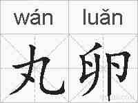 丸卵的拼音