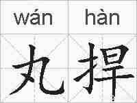 丸捍的拼音