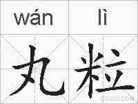 丸粒的拼音