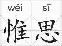 惟思的拼音