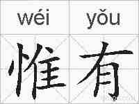 惟有的拼音