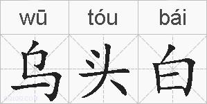 乌头白的拼音