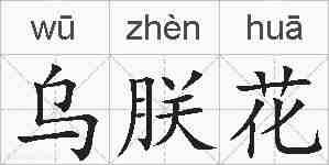 乌朕花的拼音