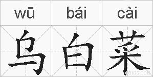 乌白菜的拼音