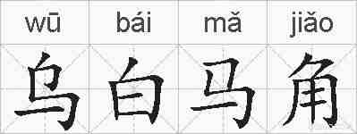 乌白马角的拼音