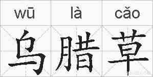 乌腊草的拼音