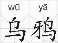 乌鸦的拼音