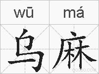 乌麻的拼音