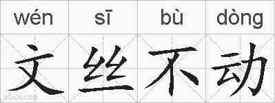 文丝不动的拼音