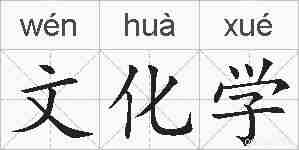 文化学的拼音