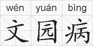 文园病的拼音