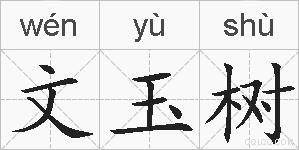 文玉树的拼音