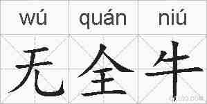 无全牛的拼音