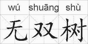 无双树的拼音