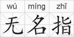 无名指的拼音