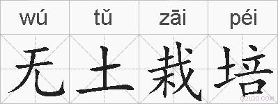 无土栽培的拼音