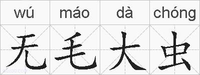 无毛大虫的拼音