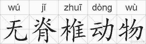 无脊椎动物的拼音