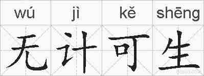 无计可生的拼音