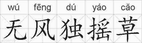无风独摇草的拼音