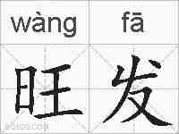 旺发的拼音