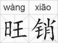 旺销的拼音