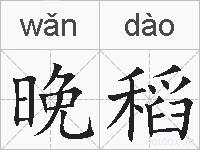 晚稻的拼音